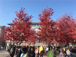 哈爾濱工程大學(xué)