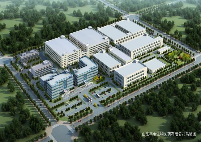 山東豐金生物醫(yī)藥有限公司廠房建設(shè)項(xiàng)目