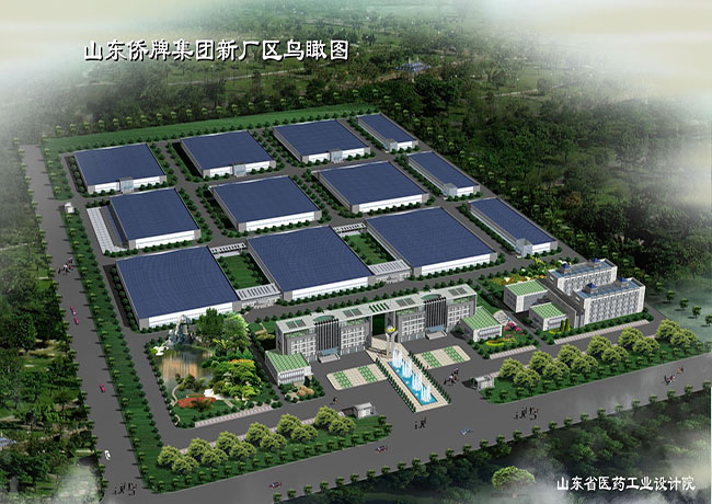 山東僑牌集團(tuán)有限公司項(xiàng)目