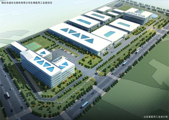 煙臺(tái)東誠生化股份有限公司生物醫(yī)藥工業(yè)園項(xiàng)目